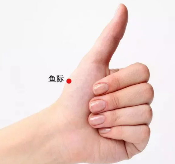 13.png