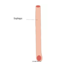 9.png