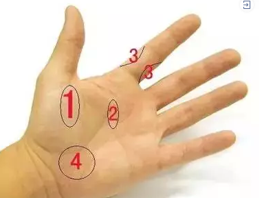6.png